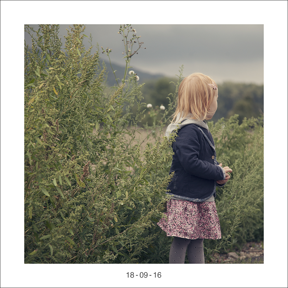 18_09_16.jpg