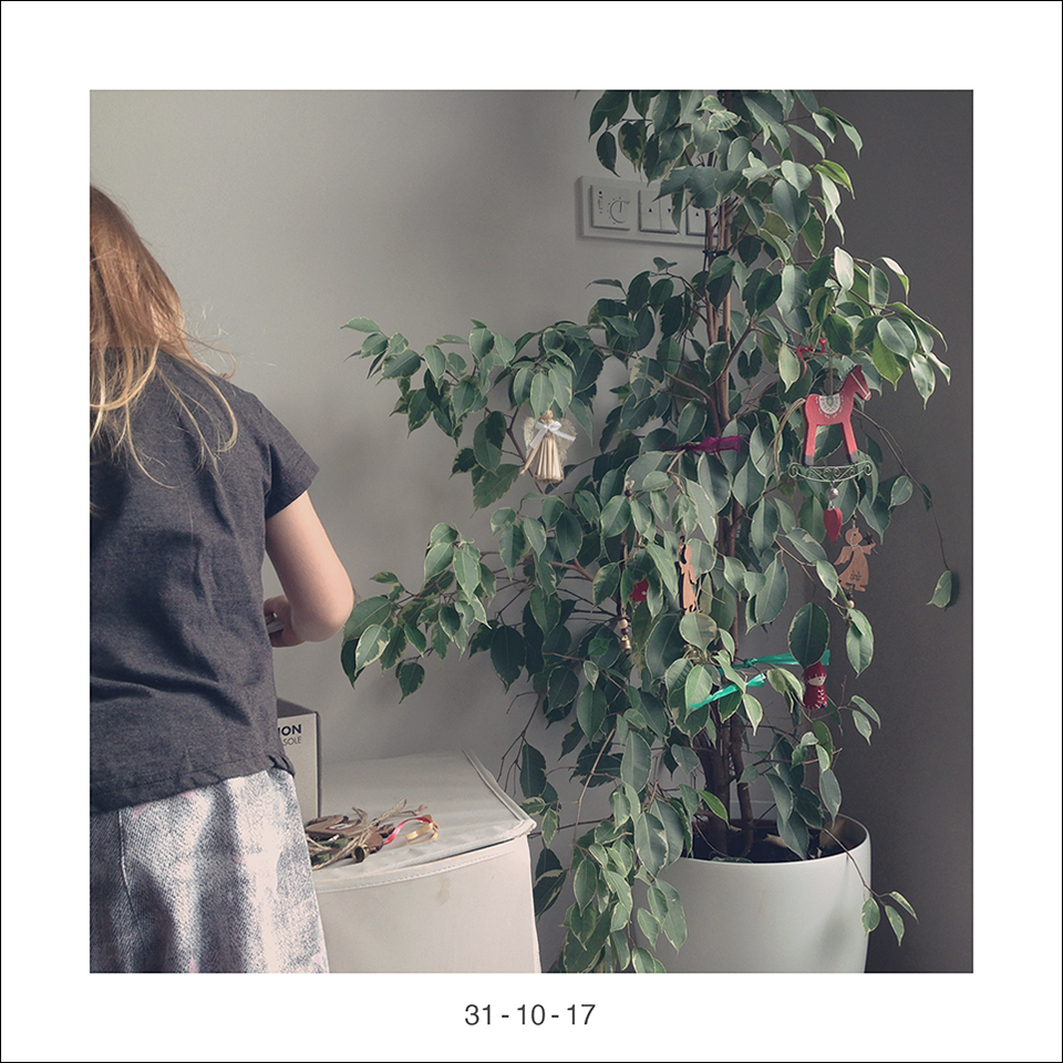31_10_17.jpg